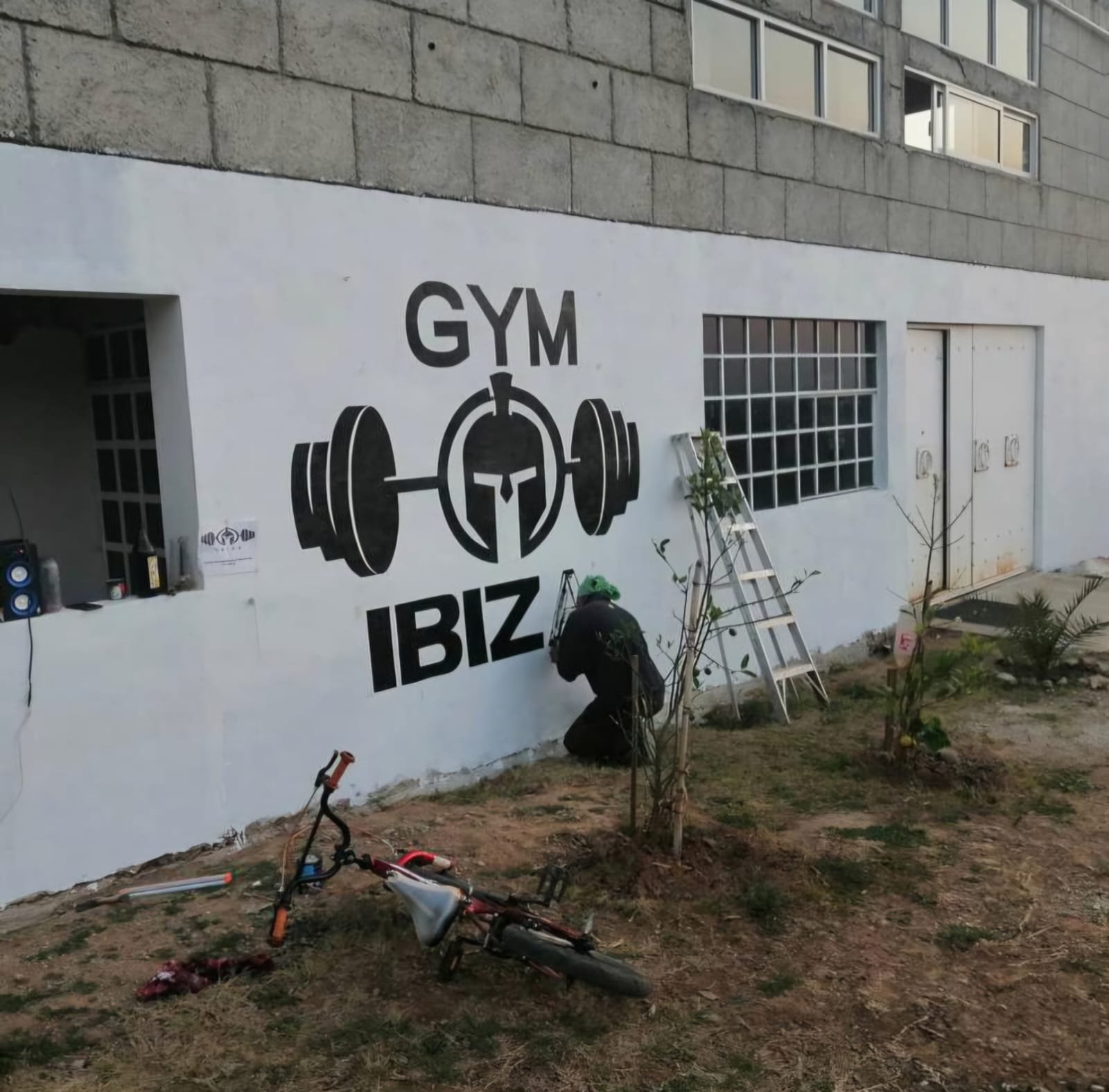Progreso del gimnasio