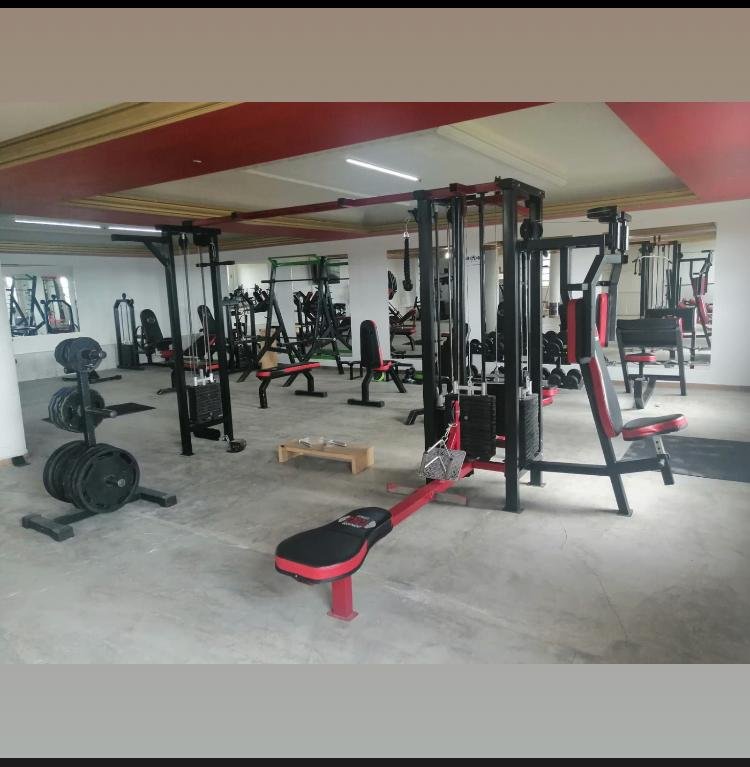 Progreso del gimnasio